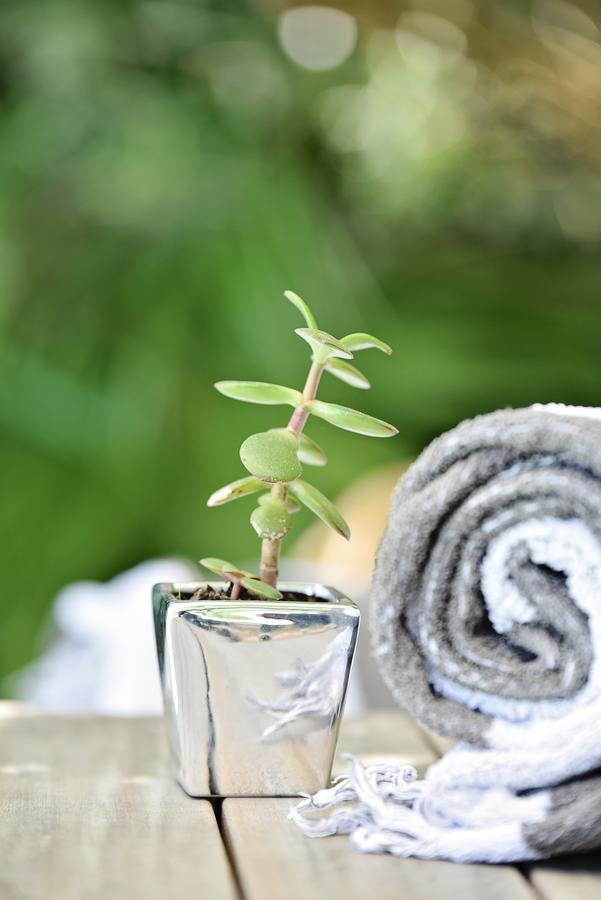 Vilacqua Boutique Guest Villa Plettenberg Bay Exterior foto
