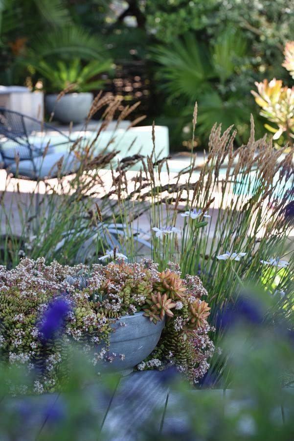 Vilacqua Boutique Guest Villa Plettenberg Bay Exterior foto